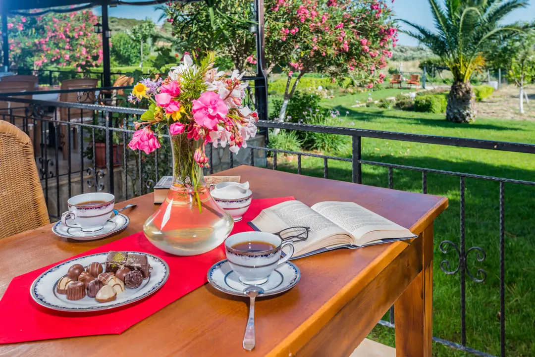 Mimari Fotoğraf Çekimi İzmir — Özbek Çiftlik Evi Doğal Işık ve Gölge — mertakdurak.com