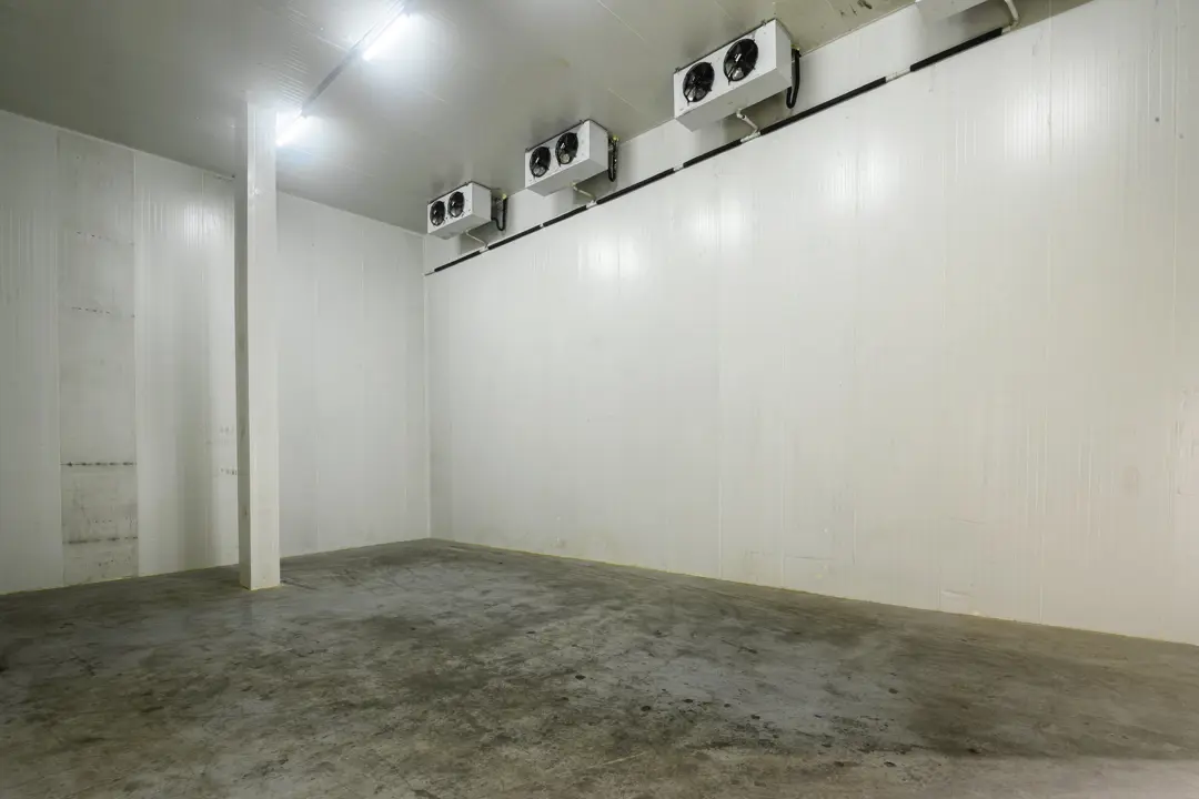 Soğuk hava odasında sıralı tavan evaporatörleri, beyaz panel duvarlar ve orta kolon, geniş açılı iç mekân.