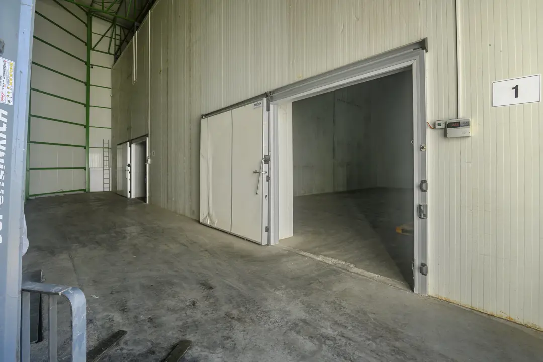 Soğuk hava deposu koridorunda 1 numaralı soğuk odanın açık sürgülü kapısı, panel duvarlar ve beton zemin.